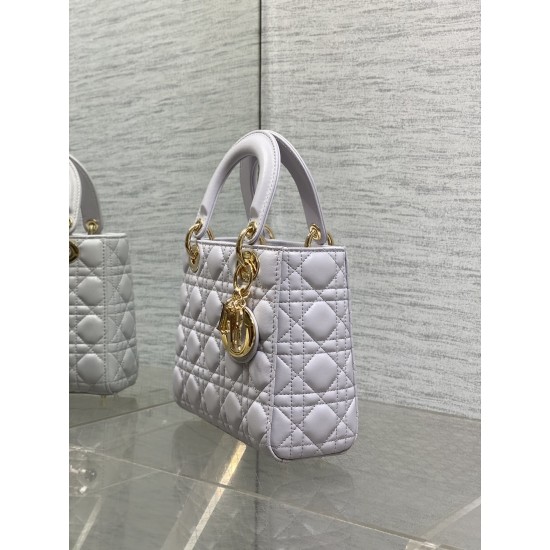 Dior Lady