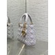 Dior Lady