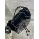 Dior Caro