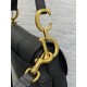 Dior Saddle