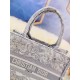Dior Book Tote