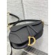 Dior Saddle