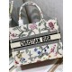 Dior Book Tote