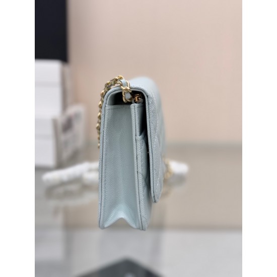 CHANEL WOC