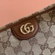 Gucci Diana