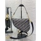Dior Saddle