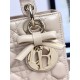 Dior Lady