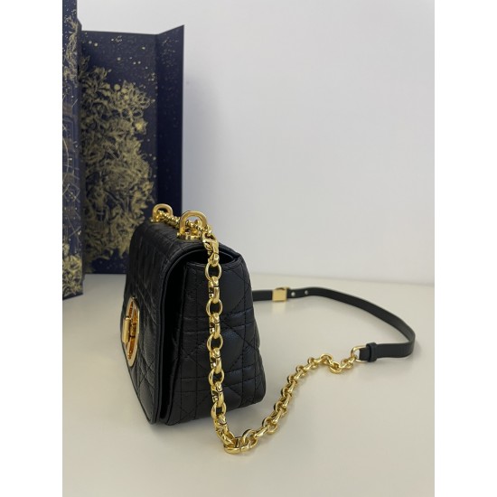 Dior Caro