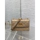 Dior Caro
