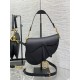 Dior Saddle