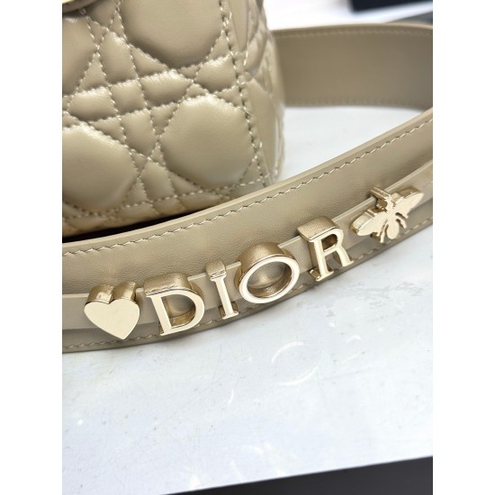 Dior Lady