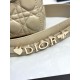 Dior Lady
