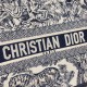 Dior Book Tote
