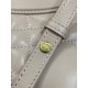 Dior Caro