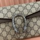 Gucci Dionysus