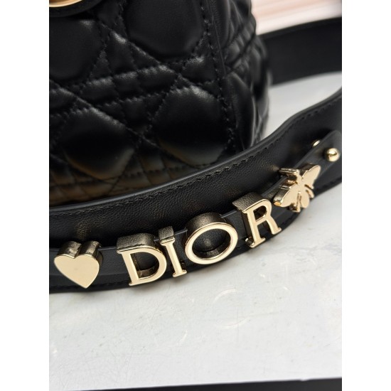 Dior Lady