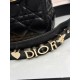 Dior Lady