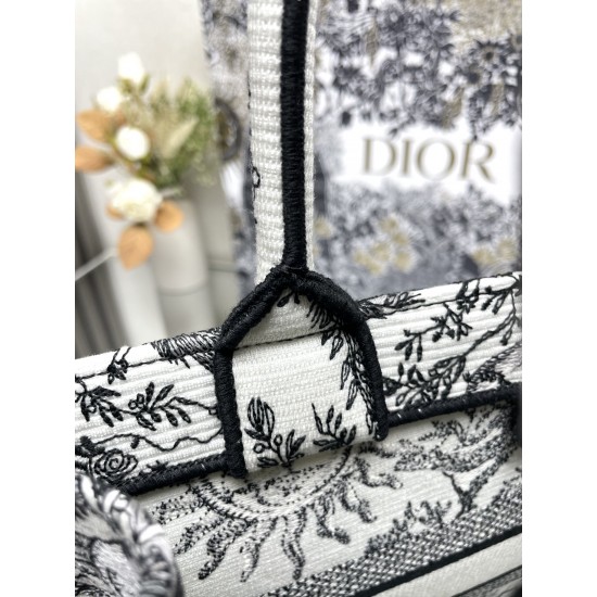 Dior Book Tote