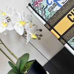 Dior Book Tote