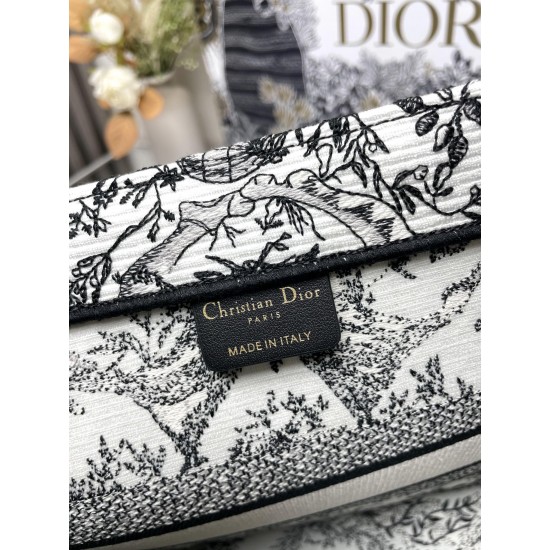 Dior Book Tote