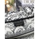 Dior Book Tote