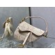 Dior Saddle