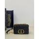 Dior Caro
