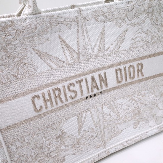 Dior Book Tote