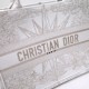 Dior Book Tote