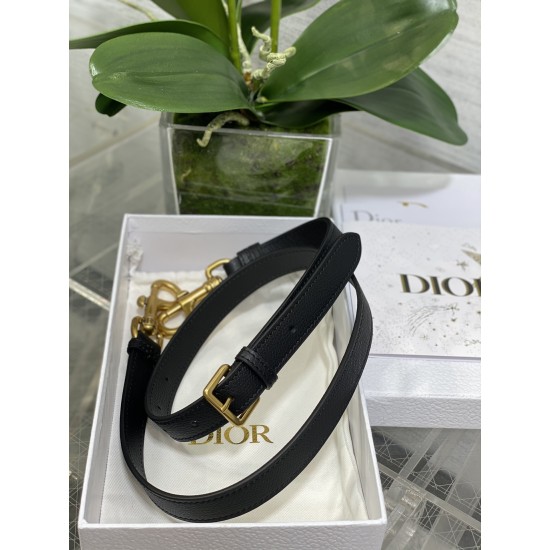 Dior Saddle