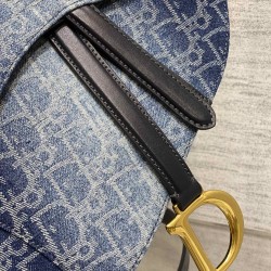 Dior Saddle