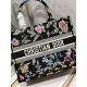 Dior Book Tote