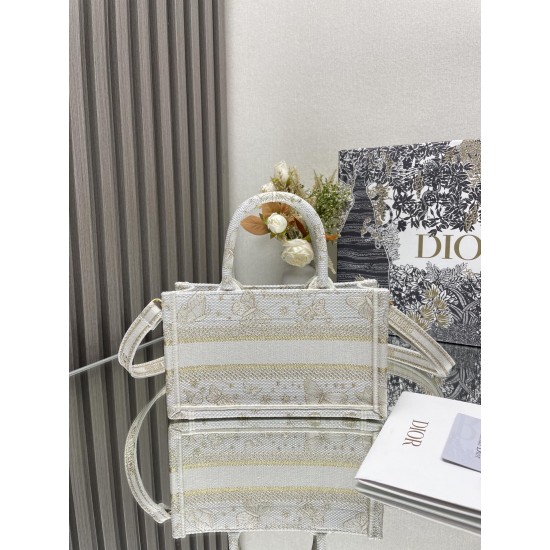 Dior Book Tote