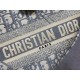 Dior Saddle