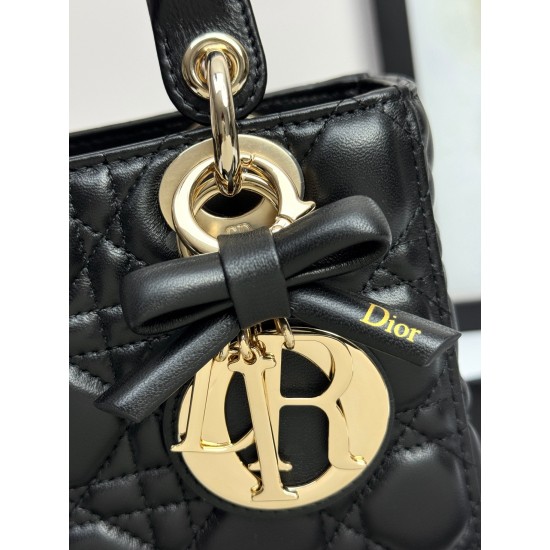 Dior Lady