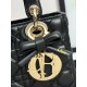Dior Lady