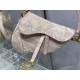 Dior Saddle