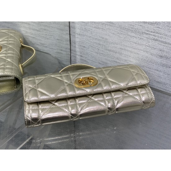 Dior Caro
