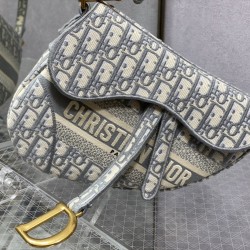 Dior Saddle