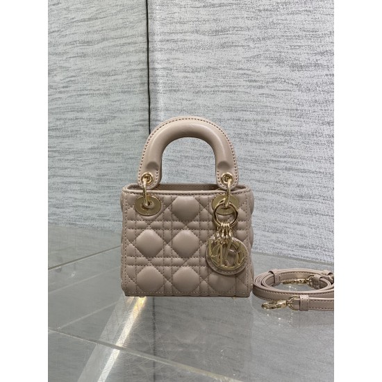 Dior Lady