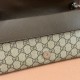 Gucci Dionysus