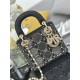 Dior Lady