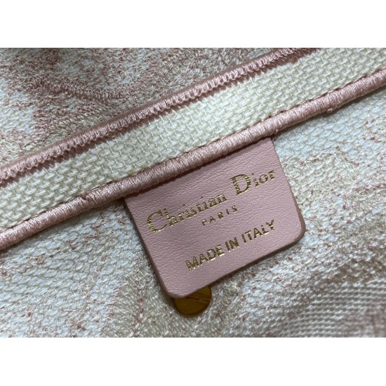Dior Saddle