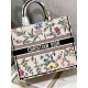 Dior Book Tote