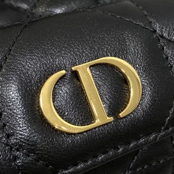 Dior Caro