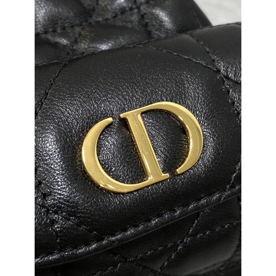 Dior Caro