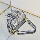 Dior Saddle