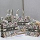 Dior Book Tote