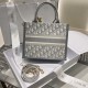 Dior Book Tote