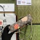 Gucci Padlock